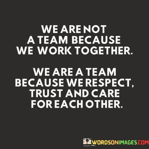 We Are Not A Team Because We Work Together We Are A Team Because We Respect Quotes