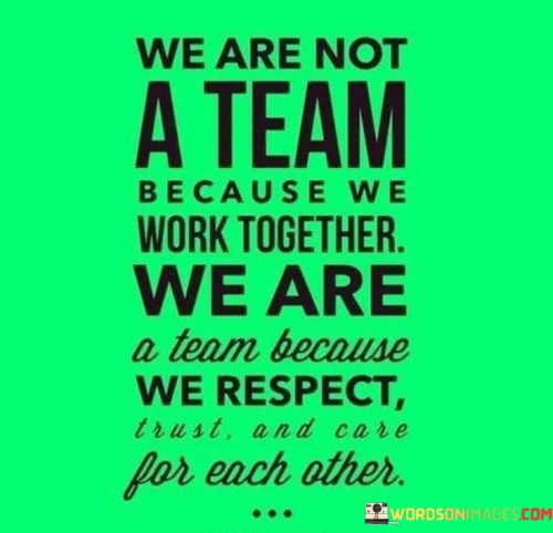 We-Are-Not-A-Team-Because-We-Work-Together-We-Are-A-Team-Because-We-Respect-Trust-And-Care-Quotes.jpeg