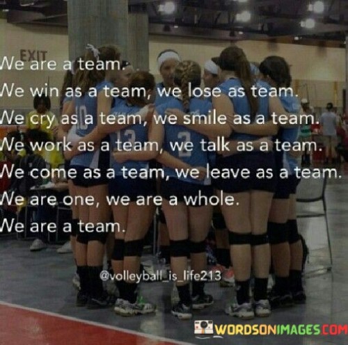 We Are Team We Win As A Team We Lose As Team We Cry As A Team Quotes