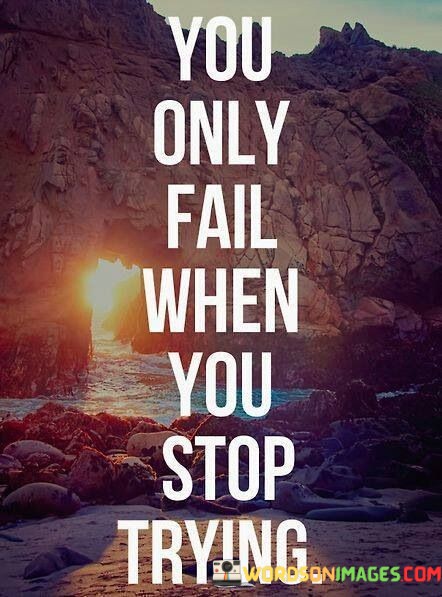 You-Only-Fail-When-You-Stop-Trying-Quotes0ff6183f9fe097e5.jpeg