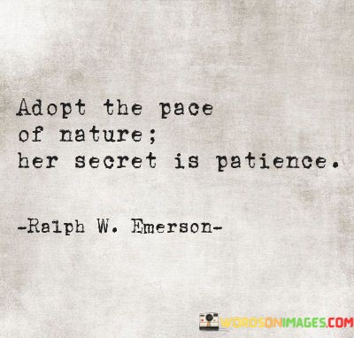 Adopt-The-Pace-Of-Nature-Her-Secret-Is-Patience-Quotes.jpeg