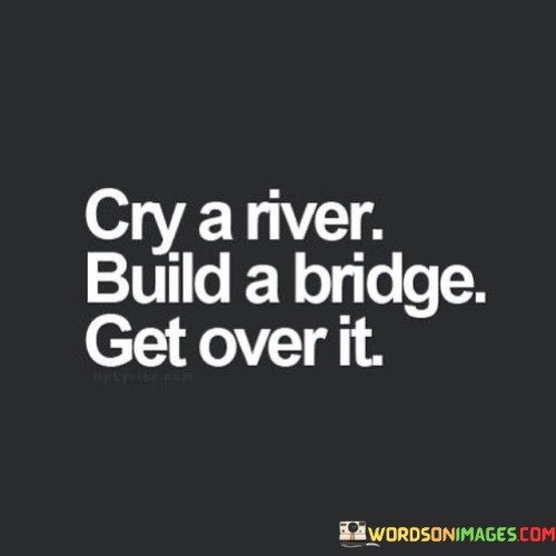 Cry-A-River-Build-A-Bridge-Get-Over-It-Quotes.jpeg