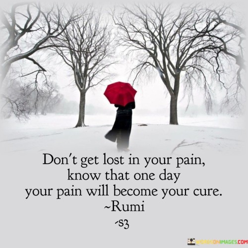 Don't Get Lost In Your Pain Know That One Day Your Quotes