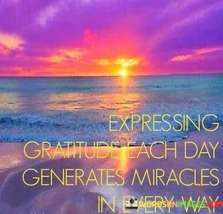 Expressing-Gratitude-Each-Day-Generates-Miracles-In-Quotes.jpeg
