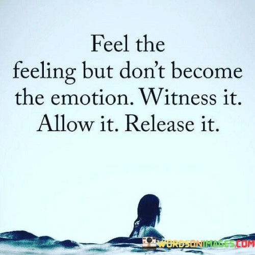 Feel-The-Feeling-About-Dont-Become-The-Emotion-Witness-Quotes.jpeg