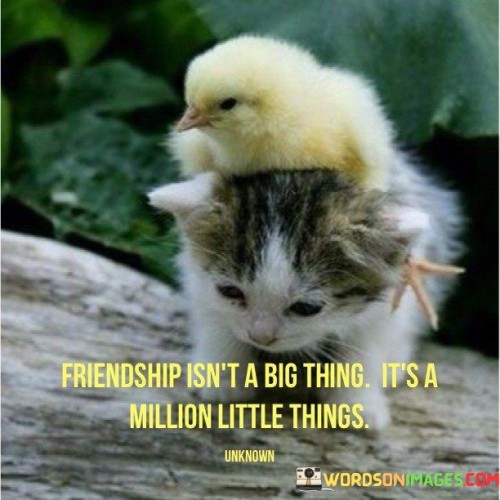 Friendship-Isnt-A-Big-Thing-Its-A-Million-Little-Things-Quotes.jpeg