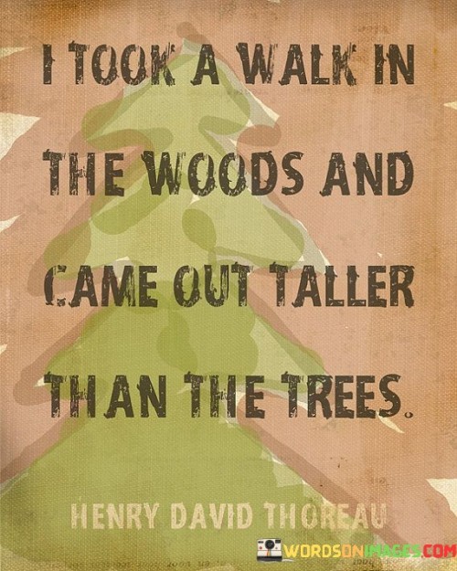 I-Took-A-Walk-In-The-Woods-And-Came-Out-Taller-Than-Quotes.jpeg