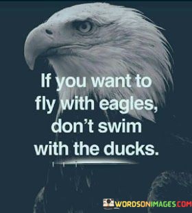 If-You-Want-To-Fly-With-Eagls-Dont-Swim-With-The-Ducks-Quotes.jpeg