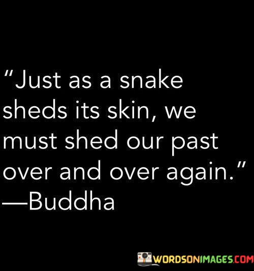 Just-As-A-Snake-Sheds-Its-Skin-We-Must-Shed-Our-Past-Quotes.jpeg