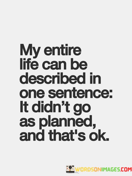 My-Entire-Life-Can-Be-Described-In-One-Sentence-Quotes.jpeg