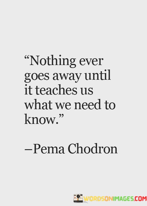 Nothing Ever Goes Away Until It Teaches Us What We Need To Know Quotes