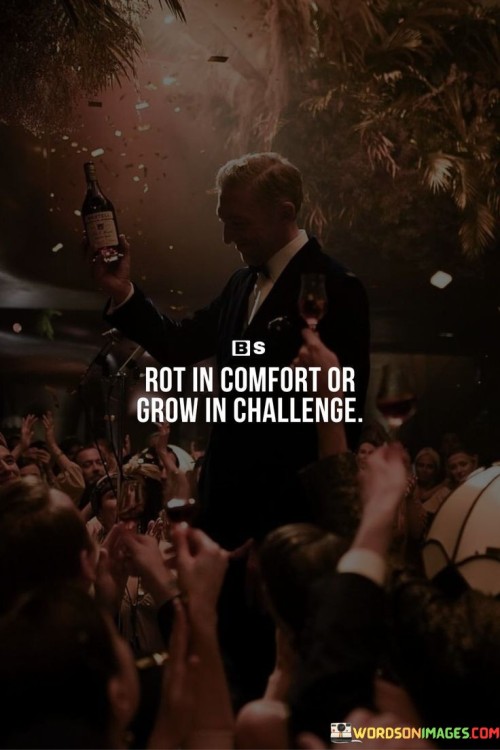 Rot In Comfort Or Grow In Challenge Quotes