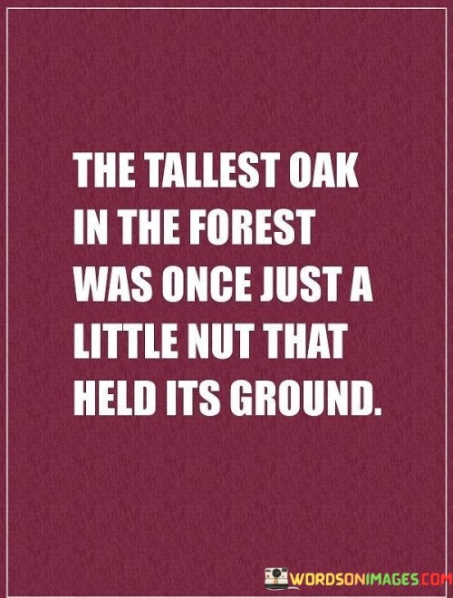 The-Tallest-Oak-In-The-Forest-Was-Once-Just-Quotes.jpeg