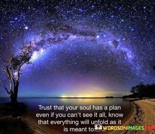 Trust That Your Soul Has A Plan Even If You Can't See It Quotes