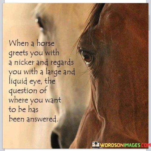 When A Horse Greets You With A Nicker And Regards Quotes