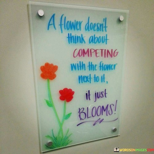 A Flower Doesn't Think About Competing With The Flower Next To It It Just Quotes