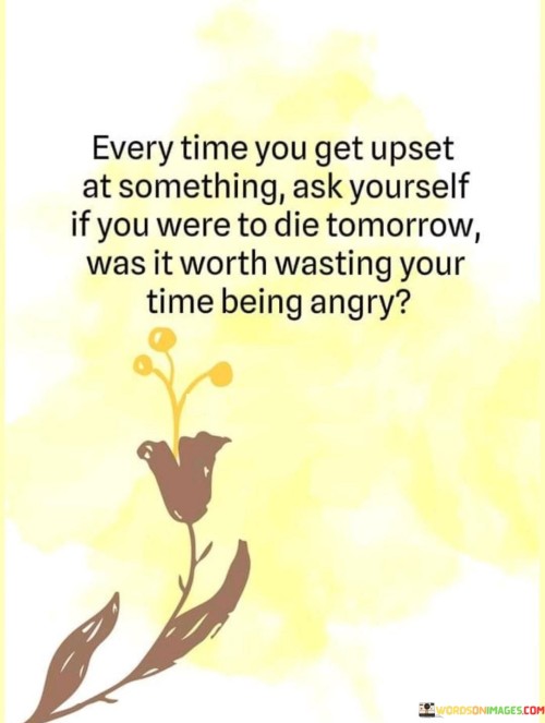 The quote encourages perspective in handling anger. "Get upset at something" implies frustration. "Wasting your time being angry" suggests unproductive emotion. The quote prompts reflection on the significance of the issue in the context of life's impermanence.

The quote underscores the futility of holding onto anger. It highlights the fleeting nature of life. "Die tomorrow" signifies the transience of existence, encouraging a reconsideration of the value of investing emotions in trivial matters.

In essence, the quote speaks to prioritizing emotional well-being. It emphasizes the importance of discerning where to invest emotional energy. The quote captures the essence of mindfulness and encourages evaluating the worthiness of anger in light of life's brevity.