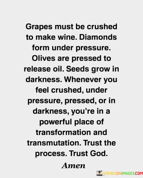 Grapes-Must-Be-Crushed-To-Make-Wine-Diamonds-Form-Under-Pressure-Quotes.jpeg