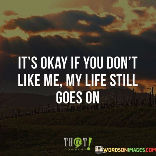 It's Okay If You Don't Like Me My Life Quotes