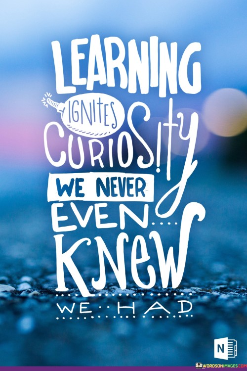 Learning Curiosity We Never Even Knew Quotes