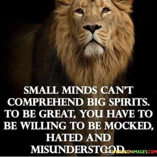 Small-Minds-Cant-Comprehend-Big-Spirits-To-Be-Great-Quotes.jpeg