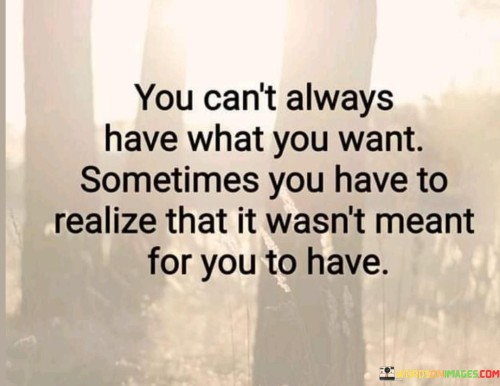 You-Cant-Always-Have-What-You-Want.-Sometimes-You-Have-To-Realize-Quotes.jpeg