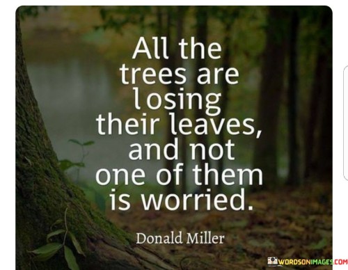 All-The-Trees-Are-Losing-Their-Leaves-And-Not-Quotes.jpeg