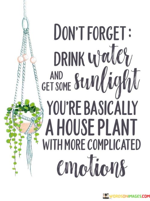 "Don't forget to drink water and get some sunlight; you're basically a house plant with more complicated emotions" is a humorous and lighthearted quote that draws a playful analogy between basic self-care needs and the care of house plants, while also acknowledging the complexity of human emotions.

The quote first highlights two fundamental aspects of self-care: staying hydrated and getting exposure to natural sunlight. Just as house plants require water and sunlight to thrive, the quote humorously reminds us that these simple acts of self-care are essential for our well-being as well.

The comparison of humans to house plants adds a touch of humor to the quote. It serves as a gentle reminder that, just like plants, we are living organisms with biological needs. However, the second part of the quote introduces the notion of "more complicated emotions." This acknowledges the complexity of human experiences, emotions, and thoughts that go beyond the basic needs of water and sunlight.