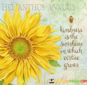 Kindness-Is-The-Sunshine-In-A-Quotes.jpeg