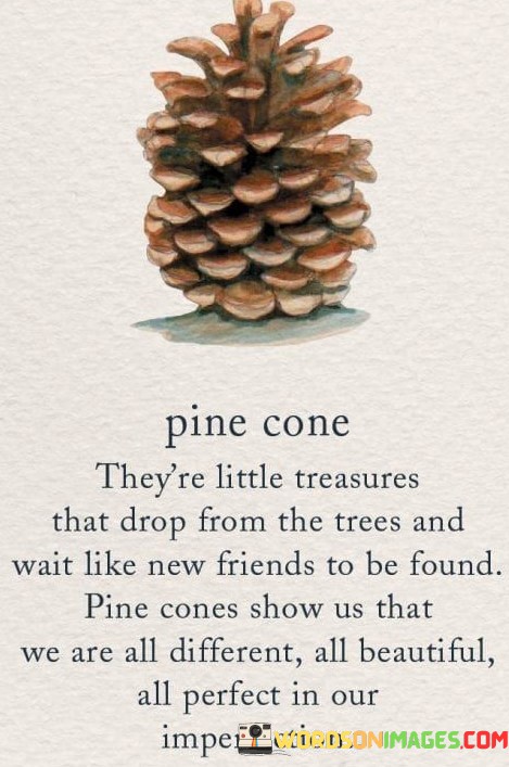 Pine-Cone-Theyre-Little-Treasures-Quotes.jpeg
