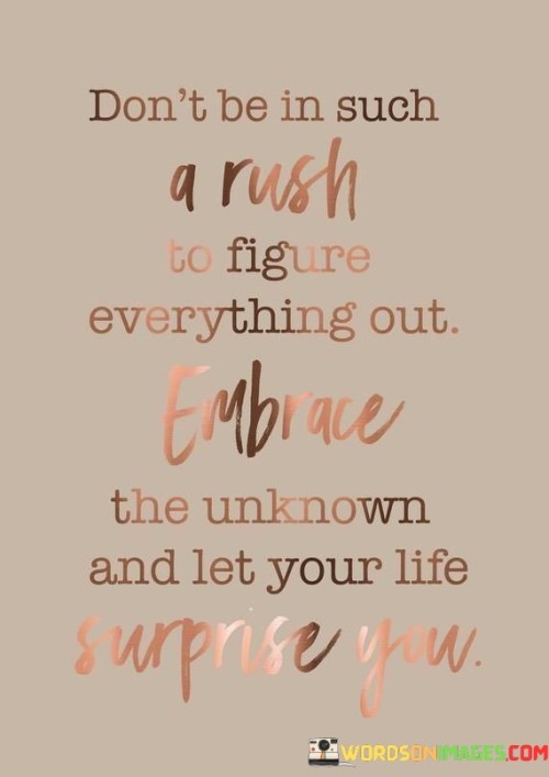Dont-Be-Such-A-Rush-To-Figure-Everything-Out-Embrace-Quotes.jpeg