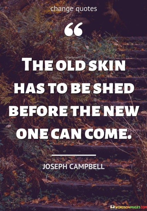 The-Old-Skin-Has-To-Be-Shed-Before-The-New-One-Can-Come-Quotes.jpeg