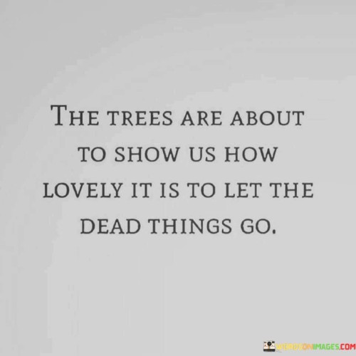 The Trees Are About To Show Us How Loverly Quotes