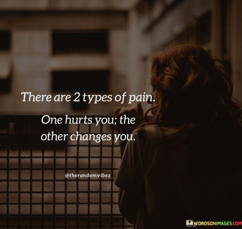 There Are 2 Types Of Pain One Hurts You The Other Changes You Quotes