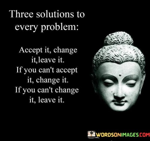 Three Solutions To Every Problem Accept It Change It Leave It Quotes