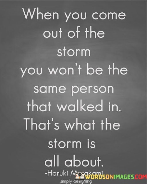 When You Come Out Of The Storm You Won't Be The Same Quotes