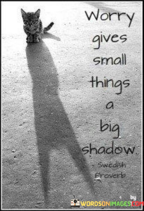 Worry-Gives-Small-Things-A-Big-Shadow-Quotes.jpeg