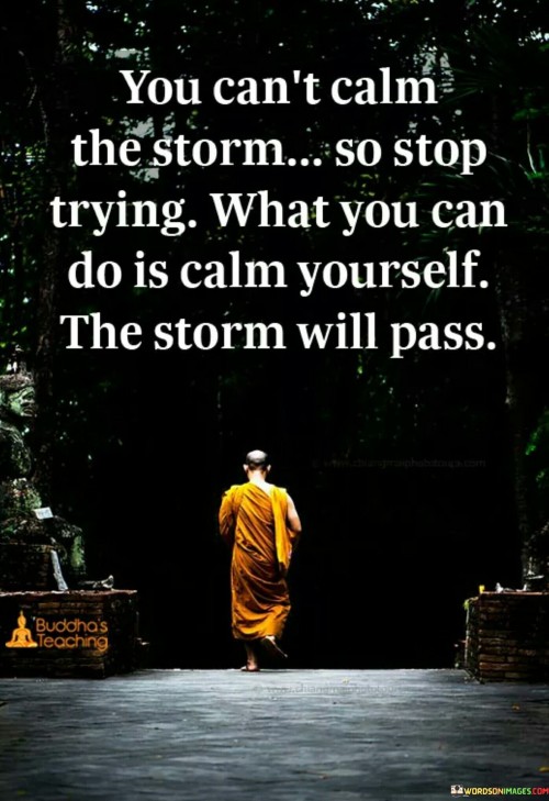 You Can't Calm The Storm So Stop Trying What You Can Quotes