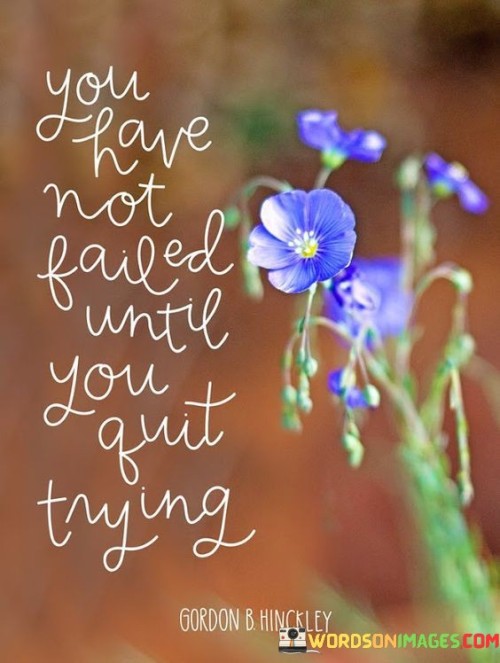 You-Have-Not-Failed-Until-You-Quit-Trying-Quotes.jpeg