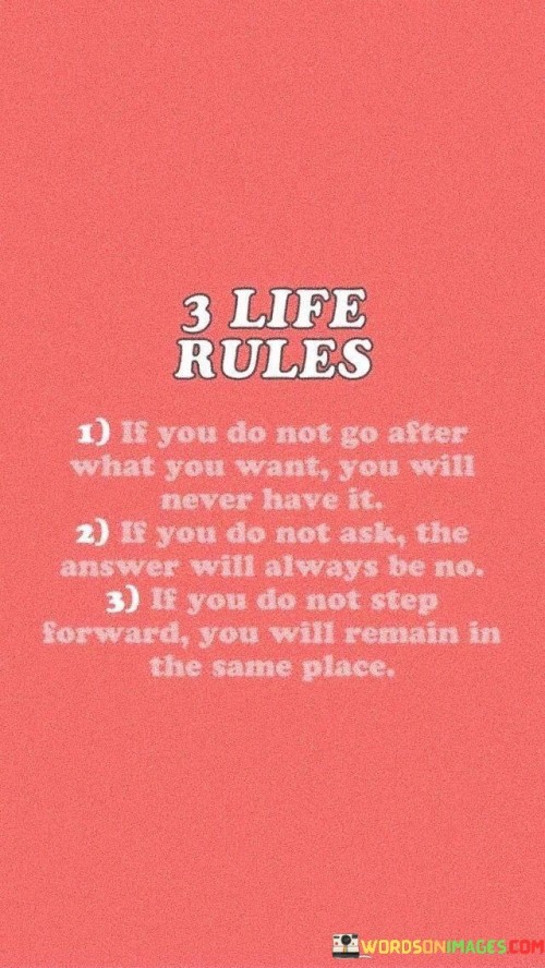 3 Life Rules If You Do Not Go After What You Want Quotes