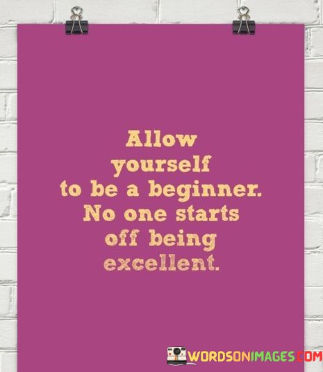 Allow-Yourself-To-Be-A-Biginner-No-One-Starts-Off-Being-Excellent-Quotes.jpeg