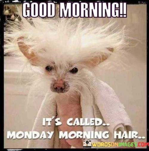 Good-Morning-Its-Called-Monday-Morning-Hair-Quotes.jpeg