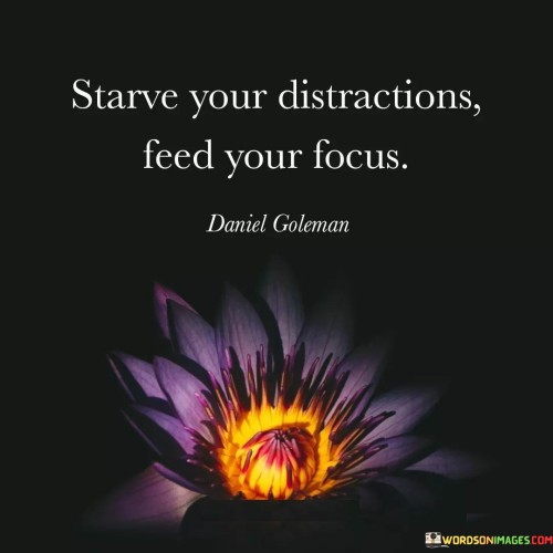 Strave Your Distractions Feed Your Focus Quotes Quotes