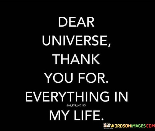 Dear Universe Thank You For Everything Quotes