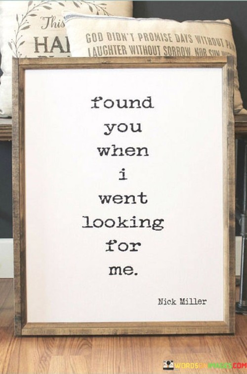 Found You When I Went Looking For Me Quotes