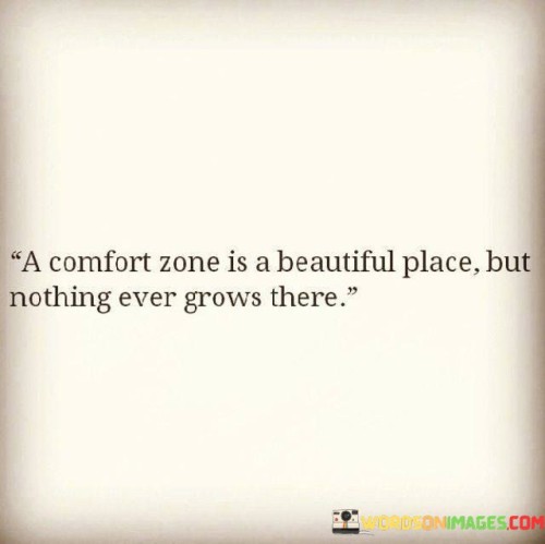 A-Comfort-Zone-Is-A-Beautiful-Place-But-Nothing-Ever-Quotes.jpeg