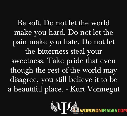 Be-Soft-Do-Not-Let-The-World-Make-You-Hard-Quotes.jpeg