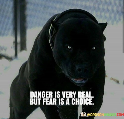 This quote suggests that while danger can be a real and objective threat in certain situations, fear is a subjective response that individuals can choose to experience or overcome. It emphasizes that fear is not inherently tied to danger; rather, it is a reaction that can be influenced by our thoughts, beliefs, and attitudes.

The quote encourages individuals to be mindful of their responses to danger and to take ownership of their emotions. It promotes the idea that fear can be managed through courage and self-awareness. By acknowledging fear as a choice, the quote challenges individuals to confront their anxieties and choose bravery over avoidance.

Ultimately, this quote serves as a reminder that we have the power to shape our responses to challenging situations. It encourages us to be proactive in managing fear, emphasizing that our choices and mindset play a significant role in how we navigate dangers and uncertainties in life.