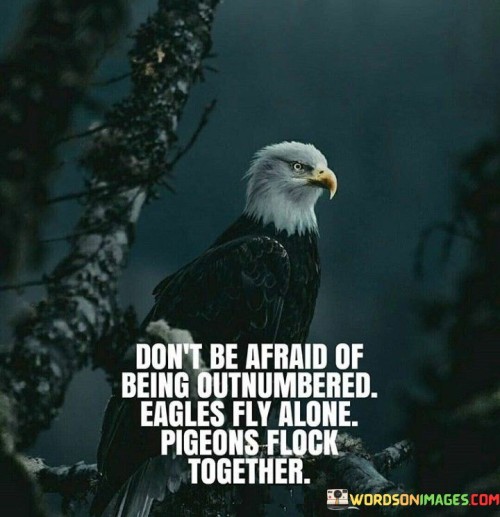 Dont-Be-Afraid-Of-Being-Out-Numbered-Eagle-Quotes.jpeg