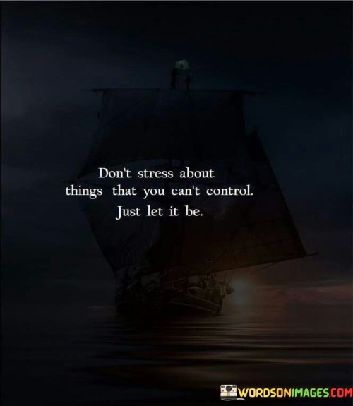 Don't Stress About Things That You Can't Control Quotes